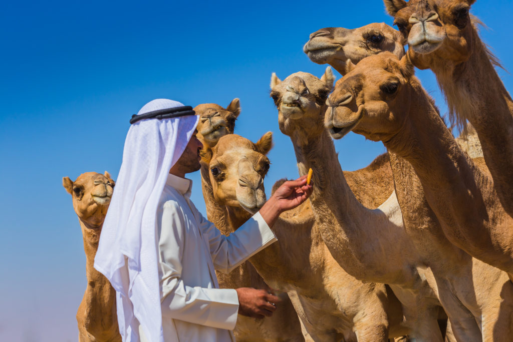 Jordanian Bedouin Camp