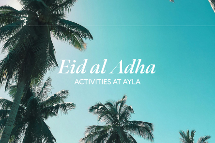 Ayla Eid al Adha Activations 2025 website